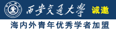 抽插外国美女网站诚邀海内外青年优秀学者加盟西安交通大学